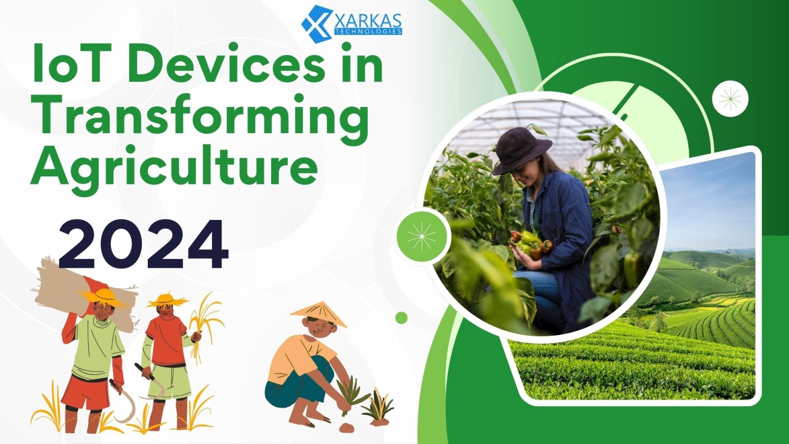 The Role of IoT Devices in Transforming Agriculture